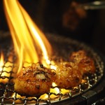 炭火焼ホルモン ぐう - 七輪とホルモン