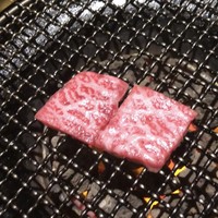 みやび 六本木店 - 