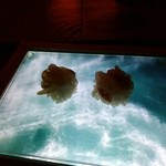 寿司茶屋 すし活 - 