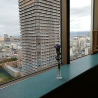 割烹みなと (アートホテル大阪ベイタワー) - 景色