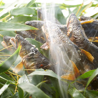 神通川の天然鮎炭火焼き