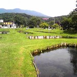 山本養鱒場 - 山本養鱒場　夏バージョン