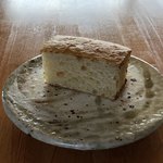 セーナ オブトシフォリア - 