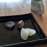 セーナ オブトシフォリア - 