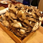 蓬左茶寮 - 野生の舞茸