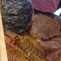 洋食 つばき - 