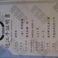 洋食 つばき - 