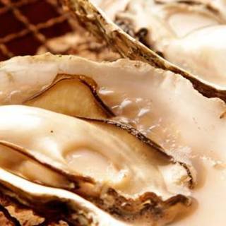 Specialty! Please enjoy our exquisite grilled Oyster.