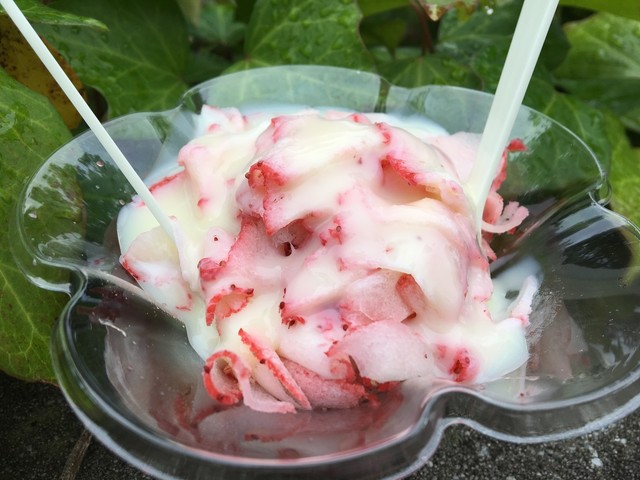 ふるや農園（郡山）- 地元食材が楽しめるファームカフェ