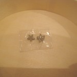 マ プール - エトワール村のエトワール（星）型化石