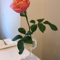 ソラメントゥーノ - 
