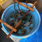 天窓洞茶屋 松丸 - 