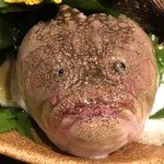 雫庵 - 三島オコゼ...怖いっす！