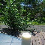 ミンタル  - 冷ミルク