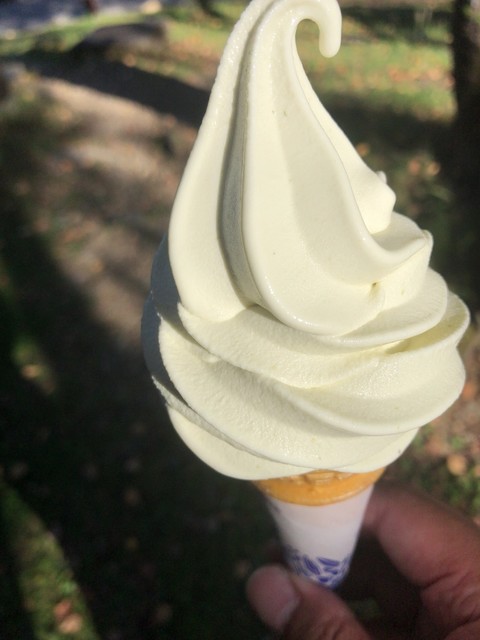 川上村特産のレタスを使ったソフトクリーム By Tmgfc347 金峰山荘 信濃川上 旅館 食べログ 川上村特産のレタスを使ったソフトクリーム By Tmgfc347 金峰山荘 信濃川上 旅館 食べログ