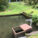 Yamano Michi Mizusawa - 釣り堀