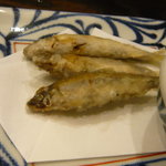 手打うどん すみた - 稚あゆ天