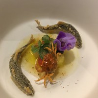 RiVi - 