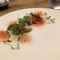 RiVi - 