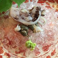 緒方 - 鳥貝、ビワマス