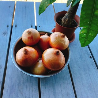 Awaji Yumehoru Terrace 淡路市その他 カフェ ネット予約可 食べログ