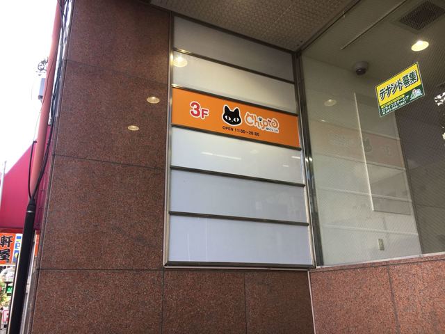 猫カフェ シピ Chipie 瓦町 カフェ 喫茶 その他 食べログ 猫カフェ シピ Chipie 瓦町 カフェ 喫茶 その他 食べログ