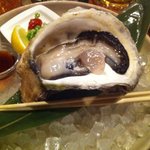 Suzuya - 巨大な牡蠣