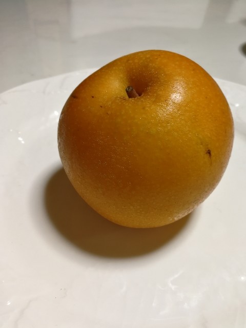 福田果樹園 - 蔵王町その他（その他）