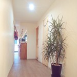 ヘルシーペンギンカフェ - お店の奥から玄関を見た所。奥の席は靴を脱いであがれます