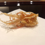 天ぷら たけうち - 天然車海老（玄海）