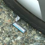 創業二百三十年食堂 - 