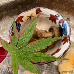 柚木元 - 天然占地