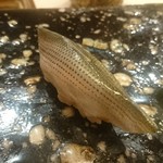 鮨 一新 - 写真その14；こはだ