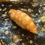 鮨 一新 - 写真その17：熊本県天草産半生車エビ