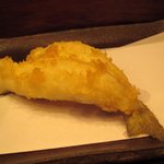 てんぷら天朝 - キス　昼の竹コース