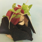 サンプリシテ - 