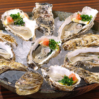 [Oyster] We offer thick and plump raw oysters throughout the year♪