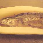 ボニュ - 収穫～秋刀魚～UP