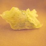 ボニュ - レタス畑～レタス～