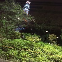 和食 清水 - 