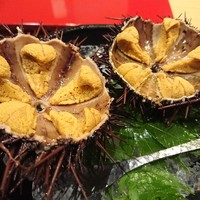 照寿司 - 赤ウニ