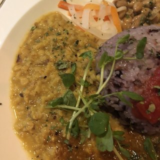 ニジノホトケドリ_1