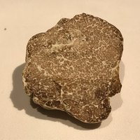 マルゴット エ バッチャーレ - 
