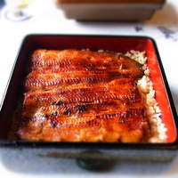 鰻割烹 伊豆栄 本店 - 