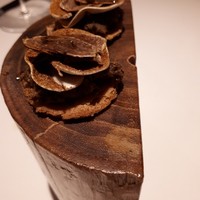 マルゴット エ バッチャーレ - 