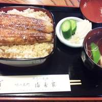 満寿家 - うなぎランチ(大盛り)