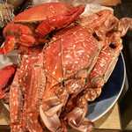 居酒屋勢人 - ガザミ(ワタリガニ科)とアサヒガニ。