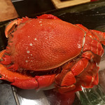 居酒屋勢人 - アサヒガニ