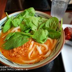 MarukameUDON - 坦々うどん＄7.00