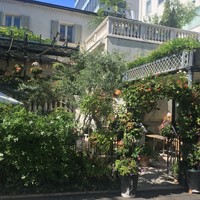 表参道バンブー - 